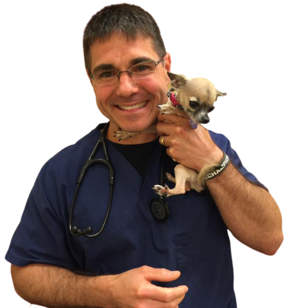 Veterinarian In Simpsonville, SC 29681 River Oak Vet