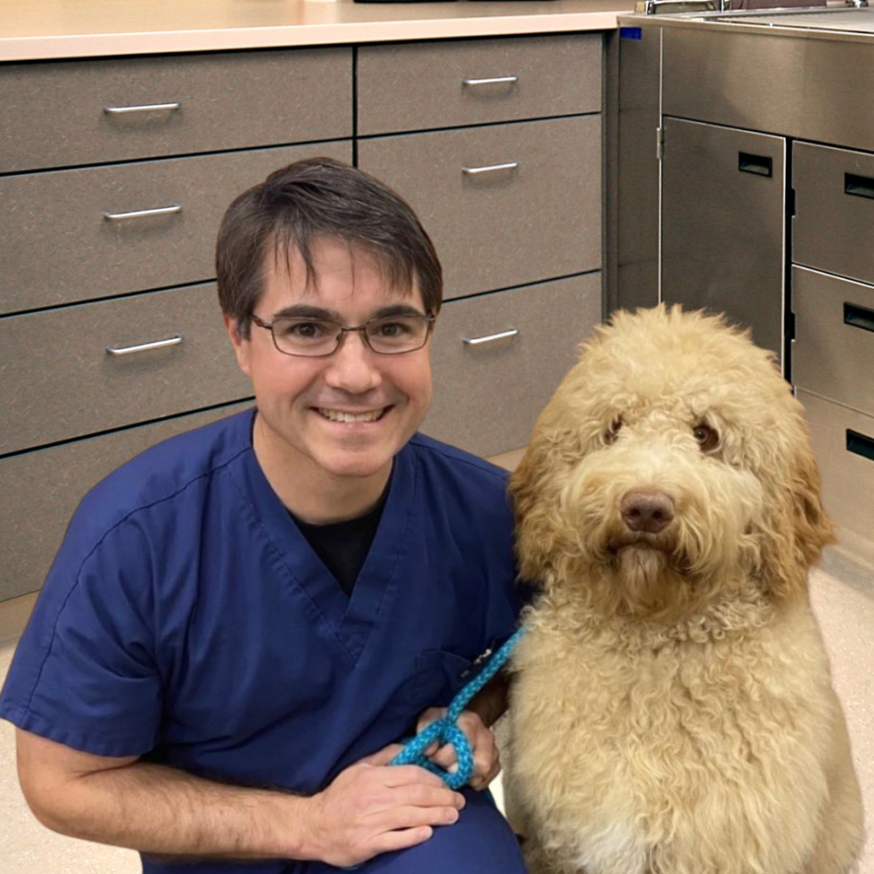 About River Oak Vet Vet In Simpsonville, SC 29681