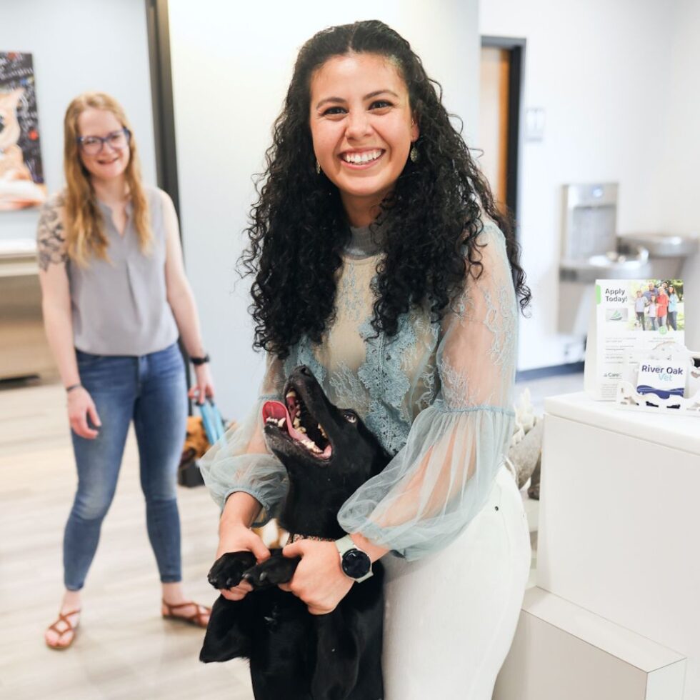 Your Veterinarian In Simpsonville, SC 29681 River Oak Vet