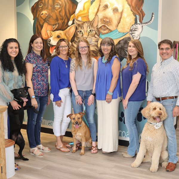 Veterinarian In Simpsonville, SC 29681 River Oak Vet