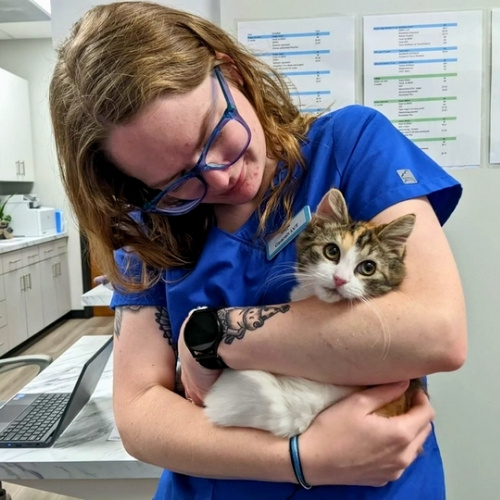 Kindness and Respect