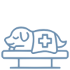 Pet general surgery Icon