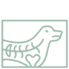 Radiology Icon