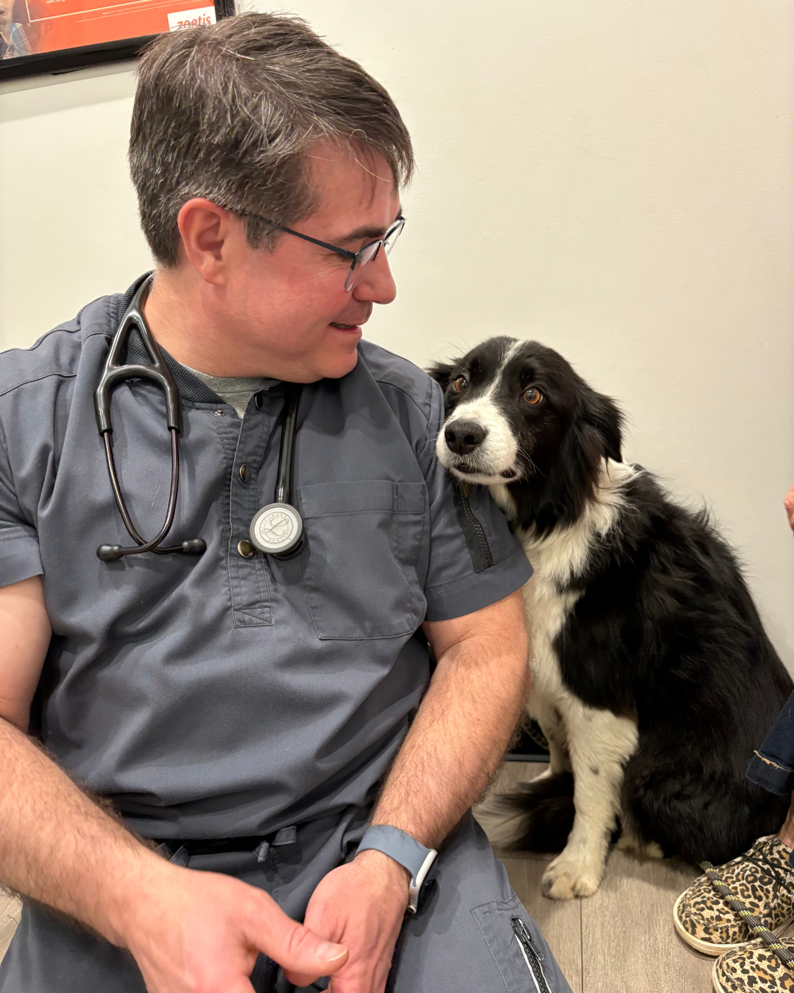 Veterinarian sitting besides a dog